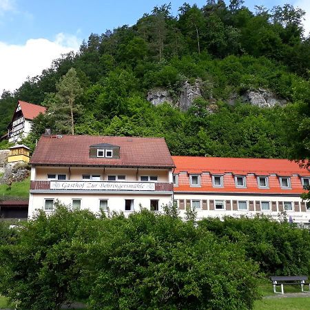 Отель Gasthof Zur Behringersmuhle Гёсвайнштайн Экстерьер фото