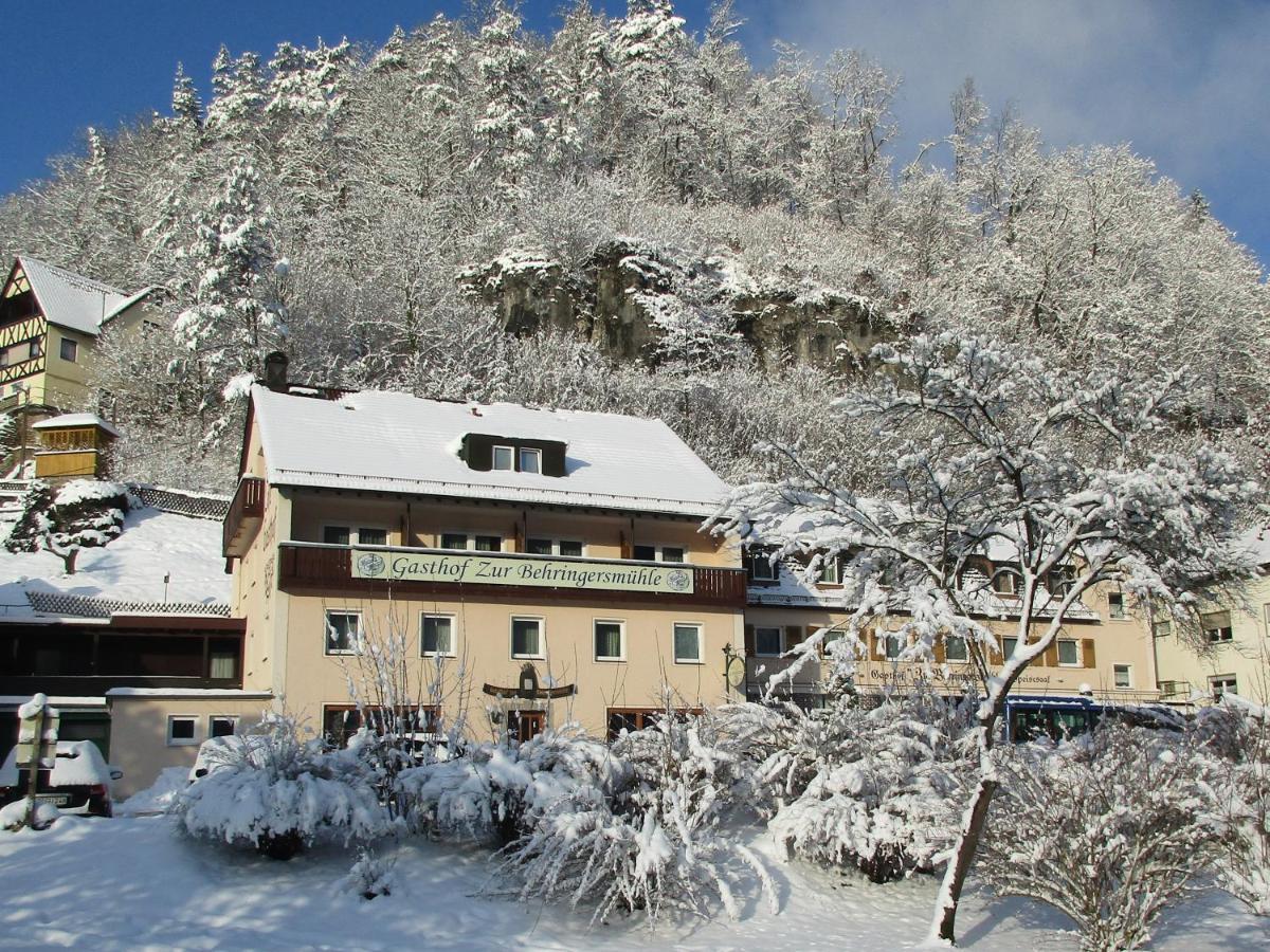 Отель Gasthof Zur Behringersmuhle Гёсвайнштайн Экстерьер фото
